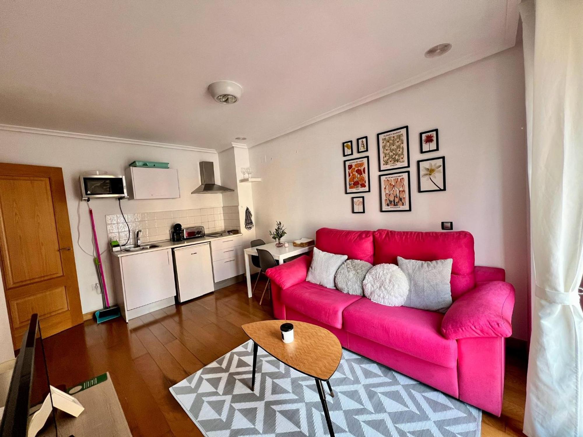 Apartamentos San Antonio アランダ・デ・ドゥエロ エクステリア 写真