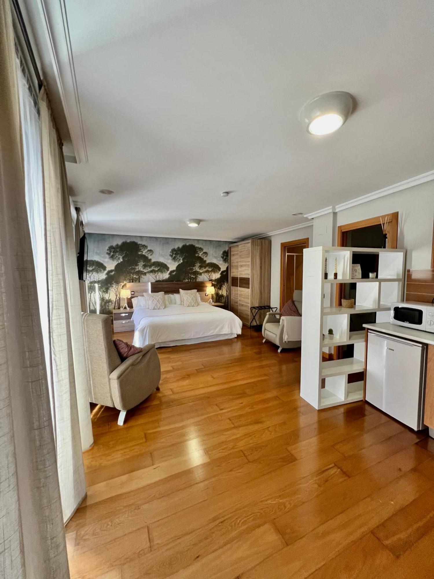 Apartamentos San Antonio アランダ・デ・ドゥエロ エクステリア 写真